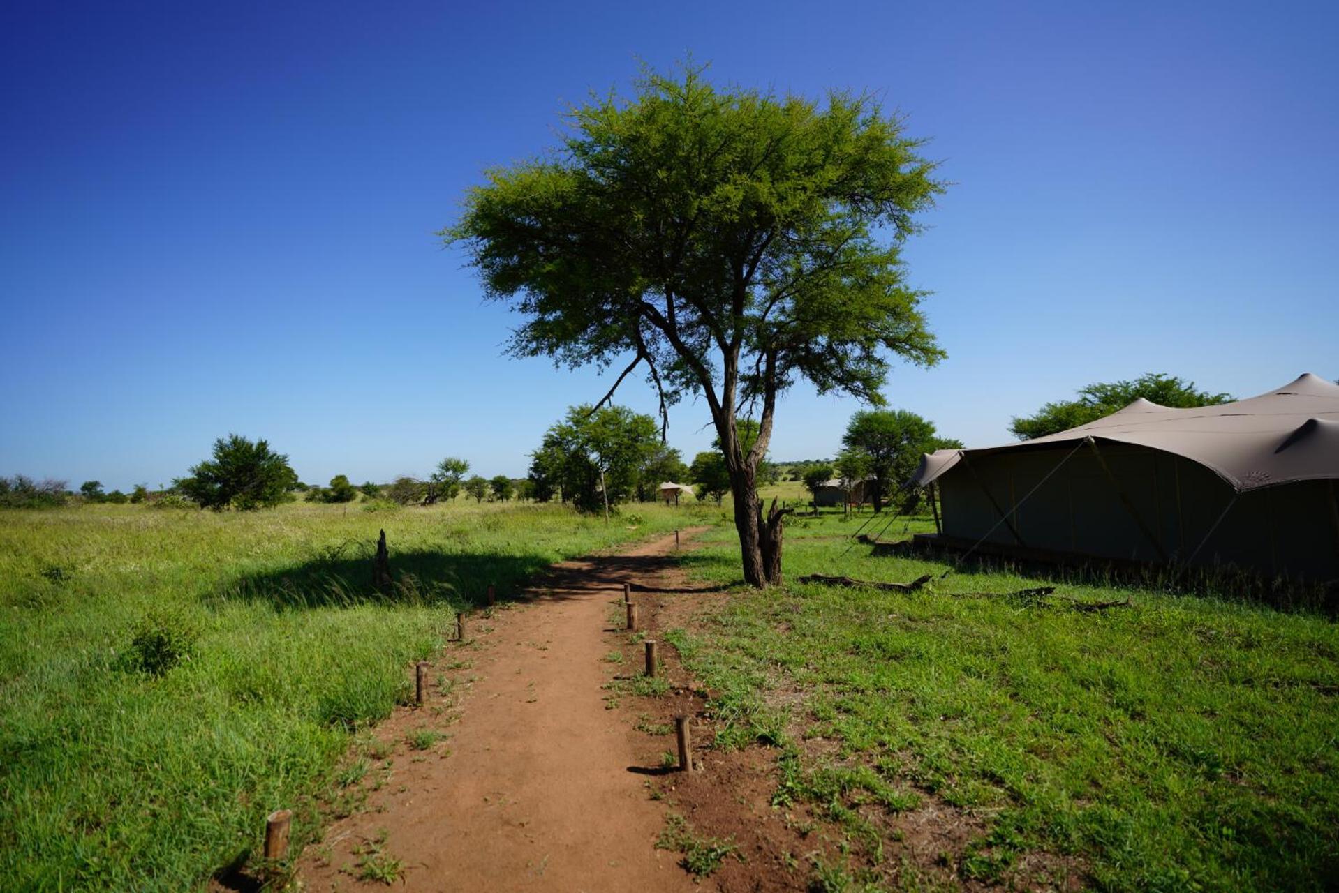 Anantya Serengeti Exterior foto