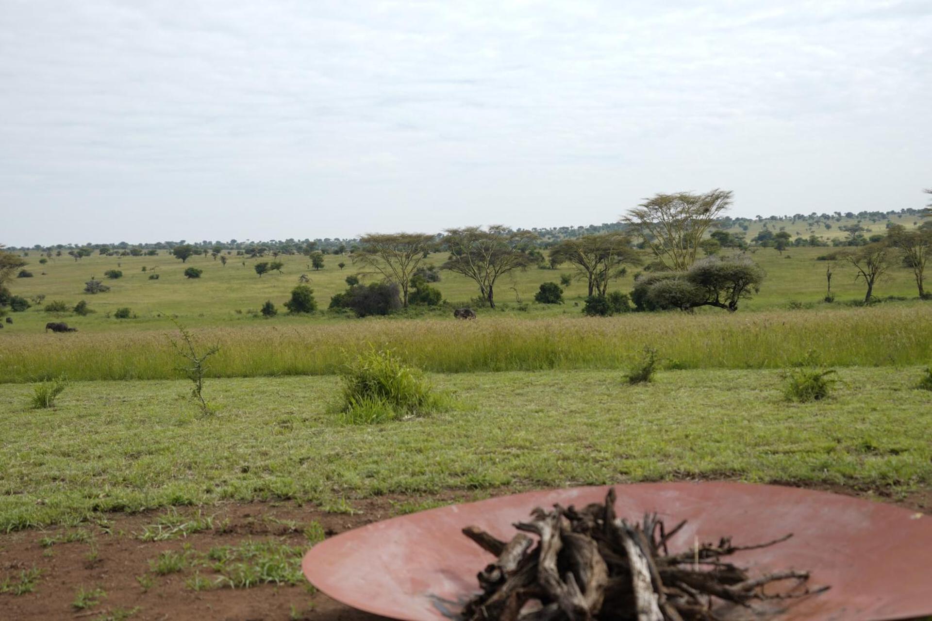 Anantya Serengeti Exterior foto